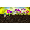 Kit Tropf-Blumat 3mtr (12 Plantes)