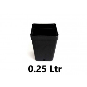 Pot Carré  0.25 ltr (7x7x8cm)