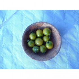Tomate cerise Raisin Vert Semailles
