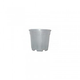 Pot transparent orchidée 21cm