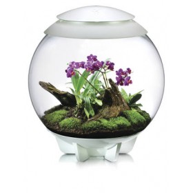 Terrarium biOrb Air 60 blanc