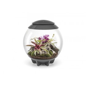 Terrarium biOrb Air 60 gris