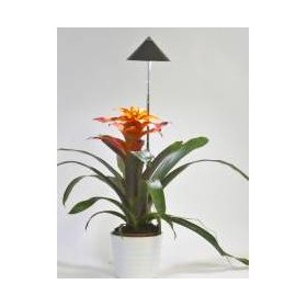 Lampe LED télescopique Sunlite anthracite