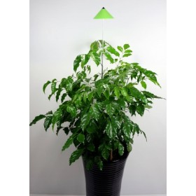 Lampe LED télescopique Sunlite green