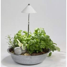 Lampe LED télescopique Sunlite white