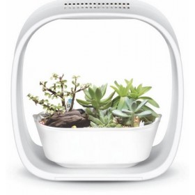 Jardin secret - JS33