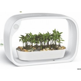 Jardin secret - JS53B