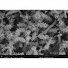 Conserve Garden 120g/l spinosad 20ml