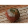 Tomate Noire Russe Charboneuse Semailles