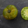 Tomate Verte de Huy Semailles