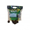 Support de Bouturage/Germination - 50 éponges - ROOT!T