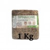 Sphaigne du Chili 1 Kg Qualité Premium (Garden Solution)