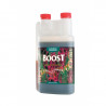 Cannaboost Accelerator 1l - CANNA