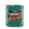 Cannaboost Accelerator 5l - CANNA