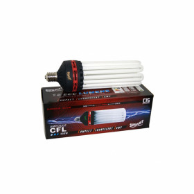 SUPERPLANT - CFL 250W V2 BLOOM 2100K