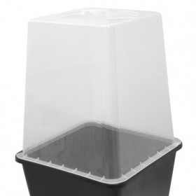 Couvercle de serre transparent pour pot de 11l