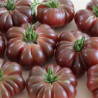 Tomate Purple Calabash Semailles