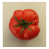 Tomate Chemin rouge Semailles