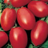 Tomate Olivette rose Semailles