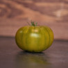 Tomate Evergreen Semailles