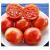 Tomate Burbank Semailles