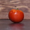Tomate Merveille des marchés Semailles