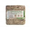 Sphaigne du Chili 5kg Qualité Premium (Garden Solution)