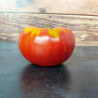 Tomate Grosse de Dordogne Semailles