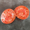 Tomate bigarée Cœur Rose strié de Pessac Semailles