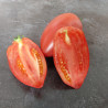 Tomate rose d'Espelette Semailles