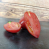 Tomate rose d'Espelette Semailles