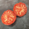 Tomate rouge Gloire de Wilrijk Semailles