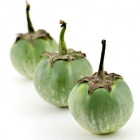 Aubergine verte ronde Thaï Semailles