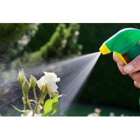 Insecticides naturels