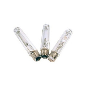 Ampoules