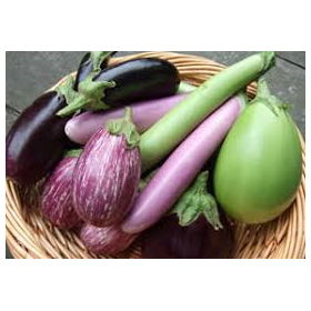 Aubergines