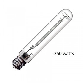 Ampoules 250 Watt HPS/MH