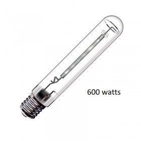 Ampoules 600 Watt HPS/MH
