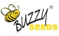 Semences Buzzy