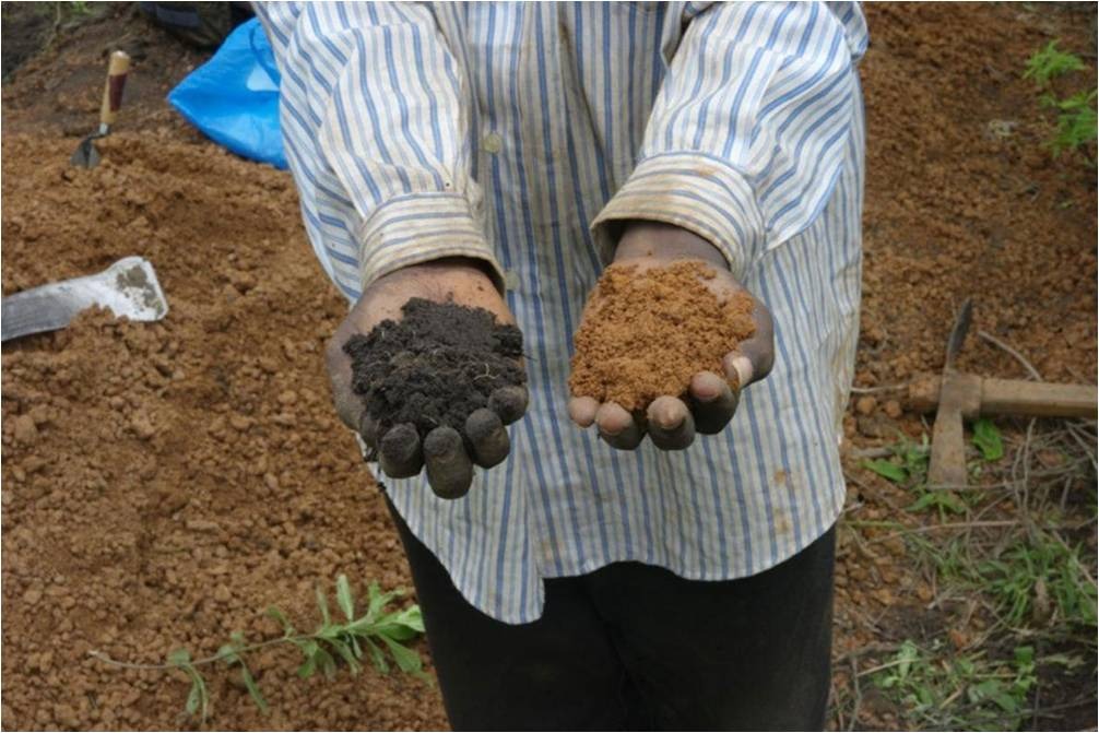 Terra preta, l'or noir des indiens